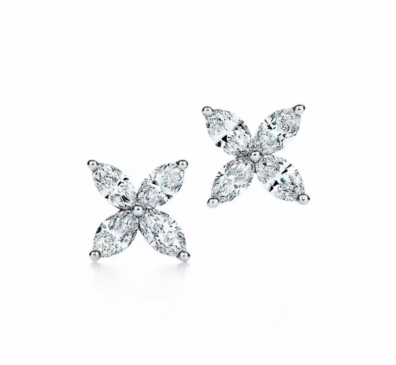 T*f*ny earrings